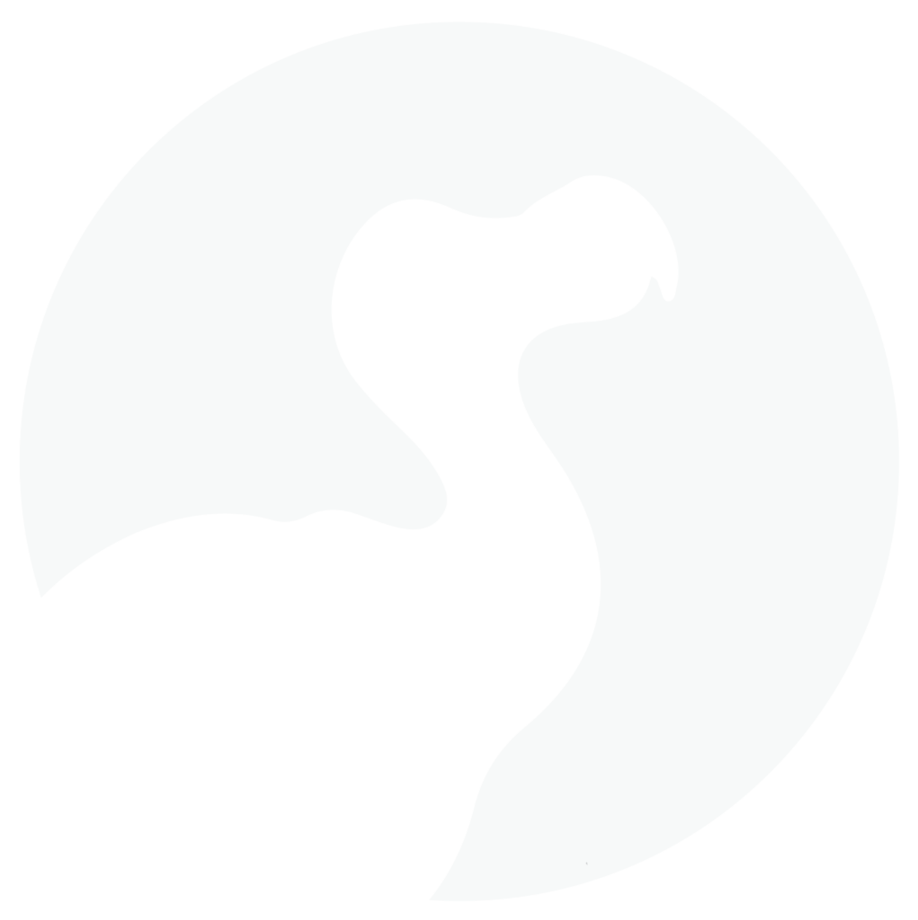 dodoflow social media marketing agency